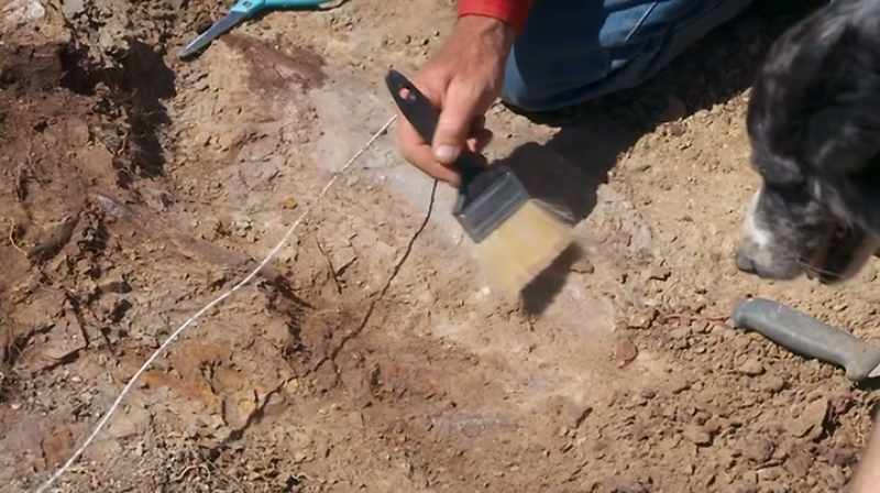 FROM THE KNOWN DINOSAURS IN THE HELL CREEK FORMATION