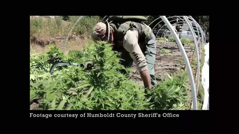 From the other property being decimated to being arrested