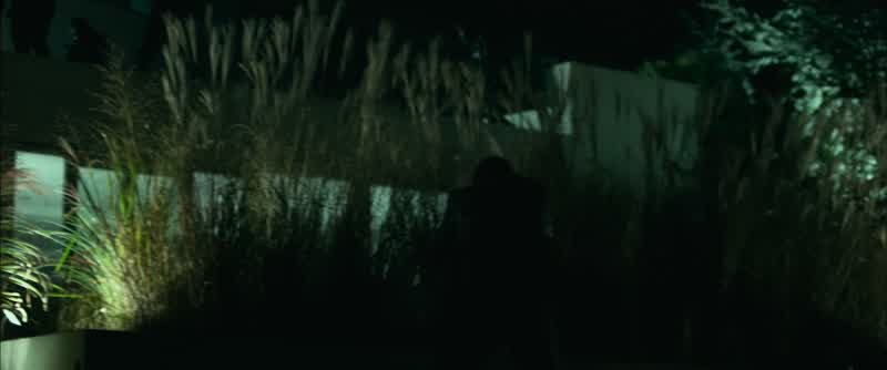 From the swamp he will come