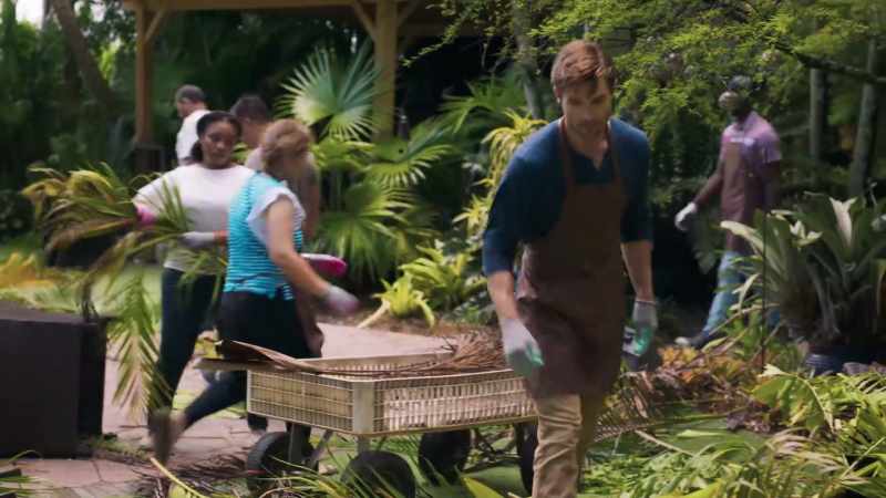 (fronds rustling)