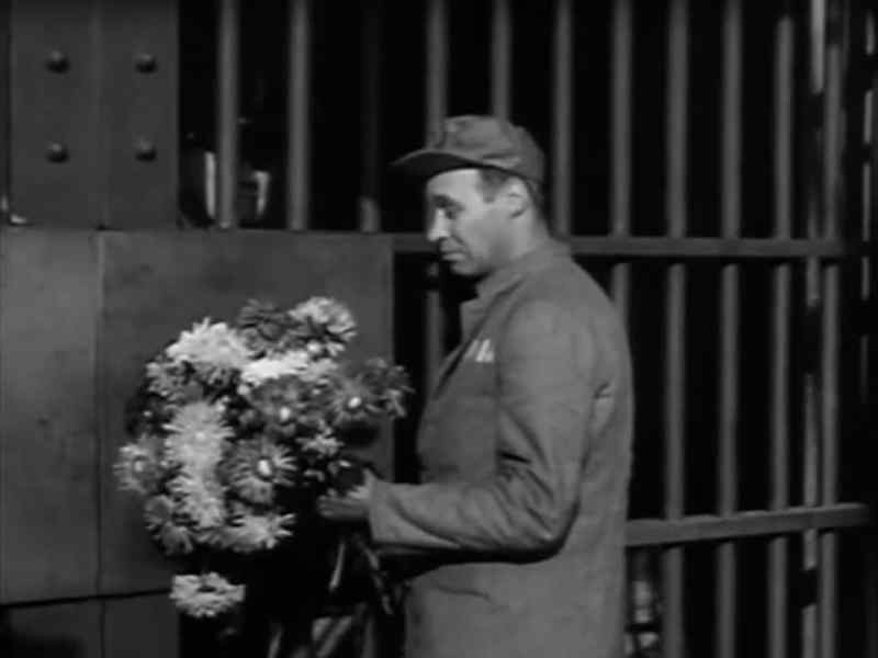 Frost is clearly killing the flowers, John