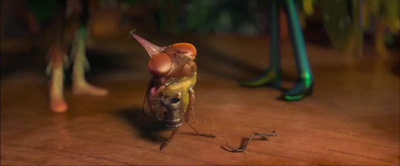 Fruit fly huh