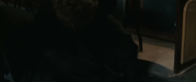 Fuck 'em up