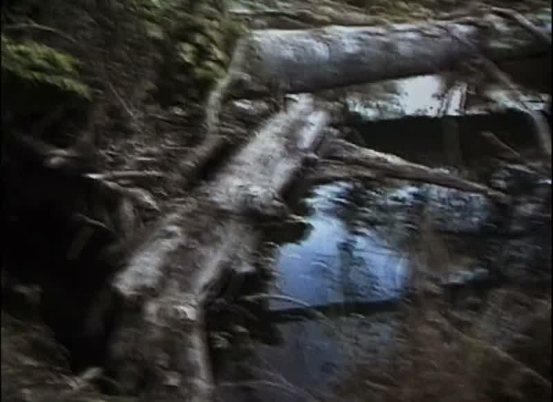 Fuck! -It's the same log. -Fuck! -Fuck!