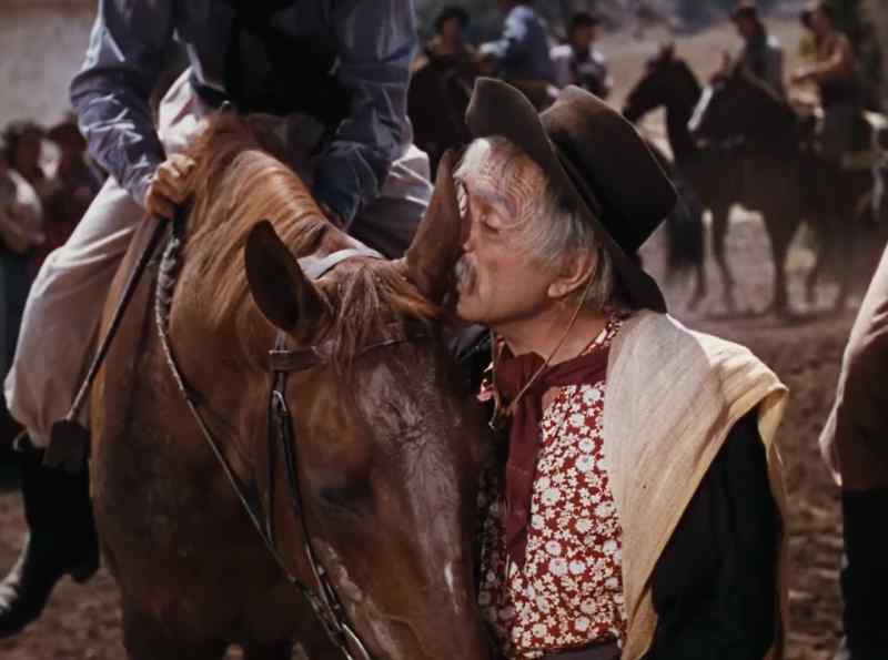 Furioso. I want to told you something