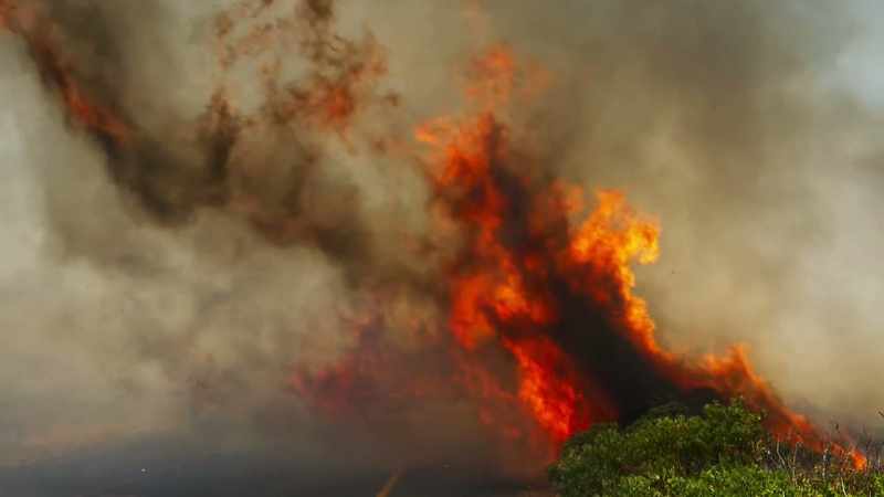 Fynbos fire in full tilt, with a strong wind behind it