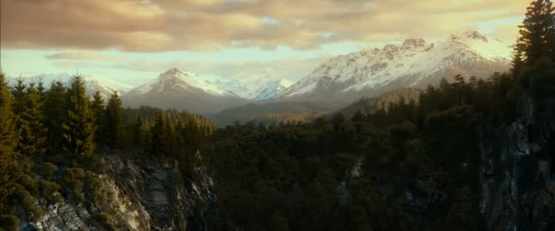GALADRIEL: You will follow them