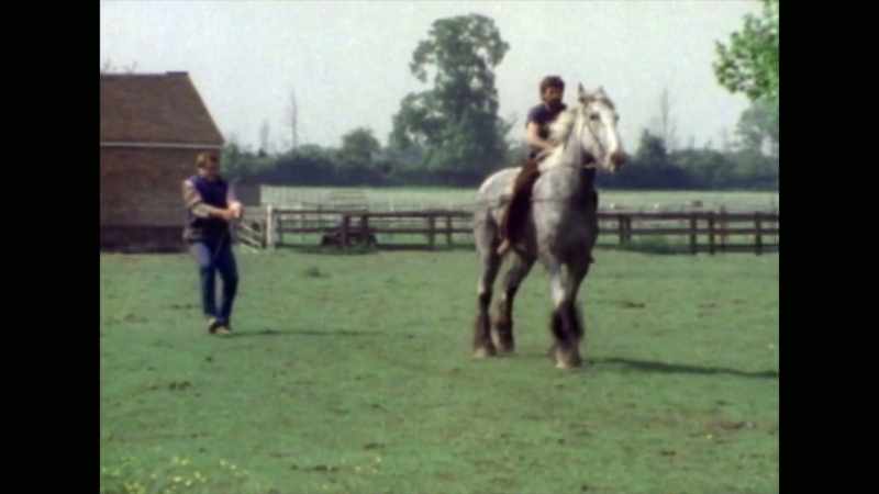 (galloping) -(indistinct chatter)