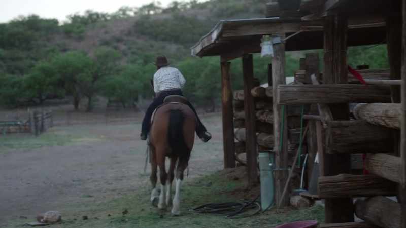 [galloping]