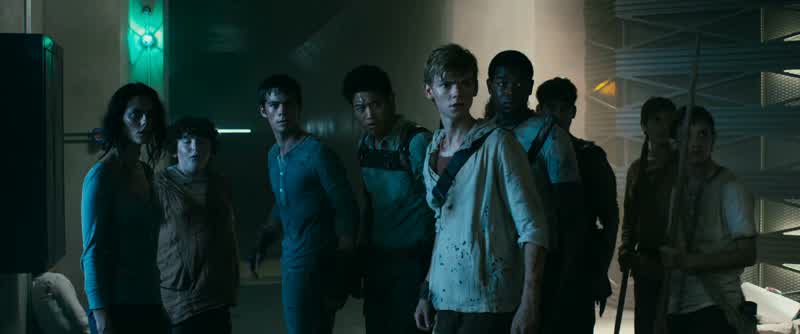 Gally? Don't. He's been stung