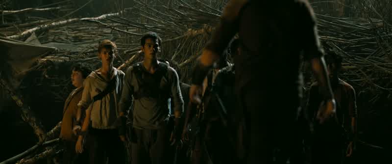 Gally... This is all you, Thomas! Look around! Back off, Gally! It's not Thomas' fault! You heard wh