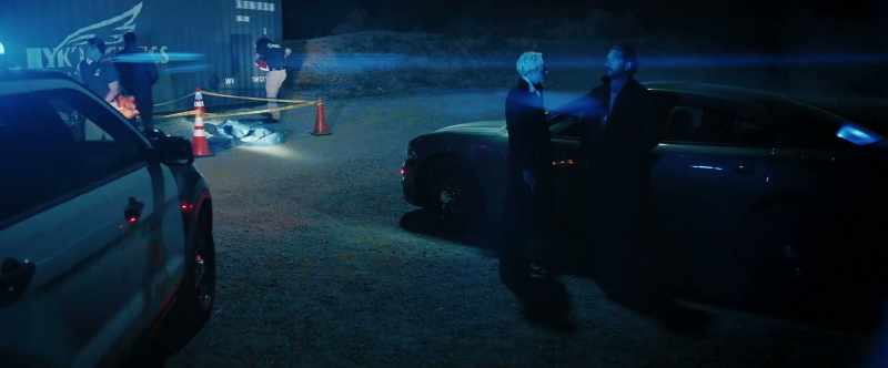 Gang-related killing. Put that in the report