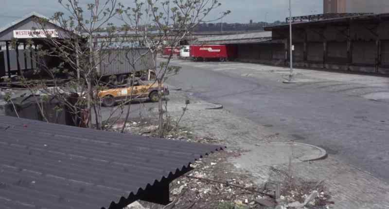 (GARBAGE CAN RATTLING)