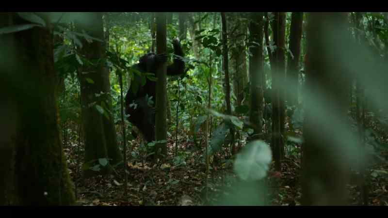 Garbo was too old for the hunt