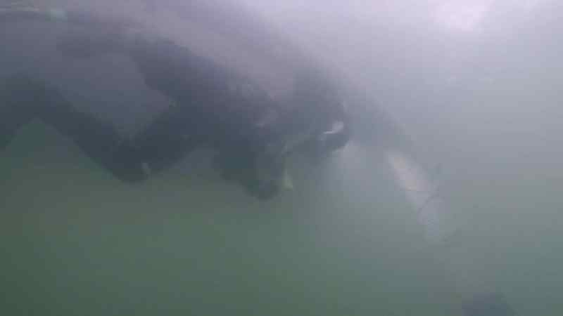Gary just had a good dive