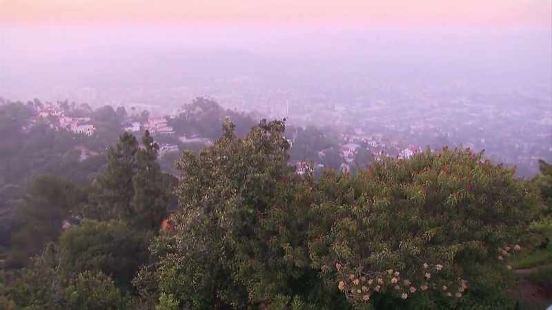 Gascon: This morning, detectives from