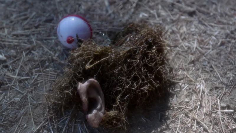 (gasps): Oh, my god!