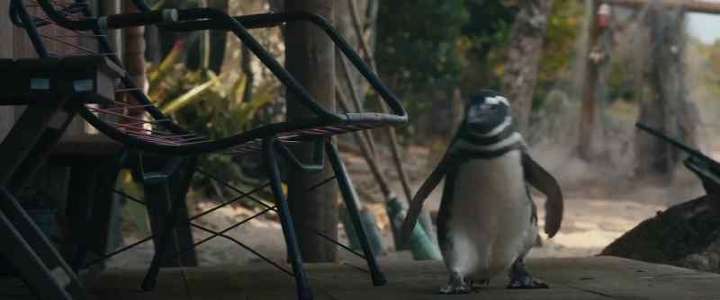 [gasps] Where are you going?