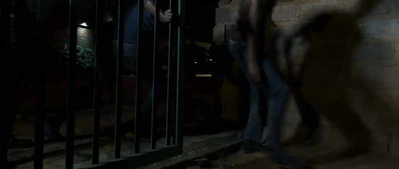 [gate opens] - Come here, you come here!