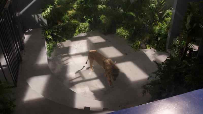 (GATE OPENS)