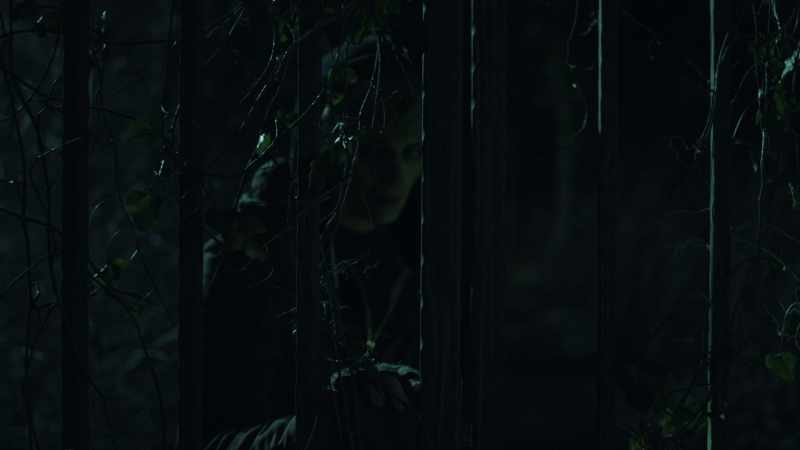 (GATE SQUEAKING)