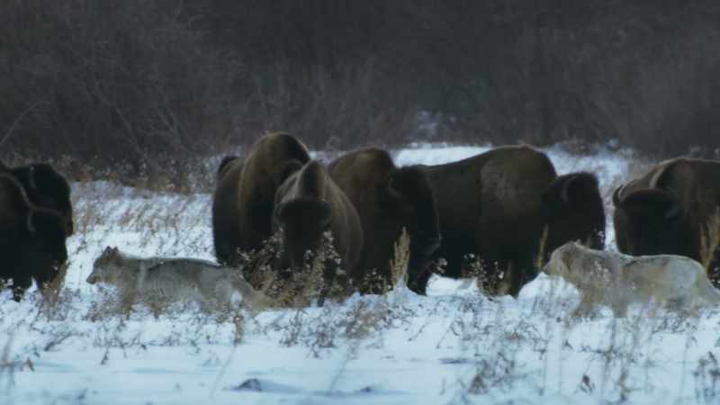 Gathered together and on guard