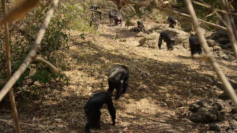 Gathering in a dried-out river bed