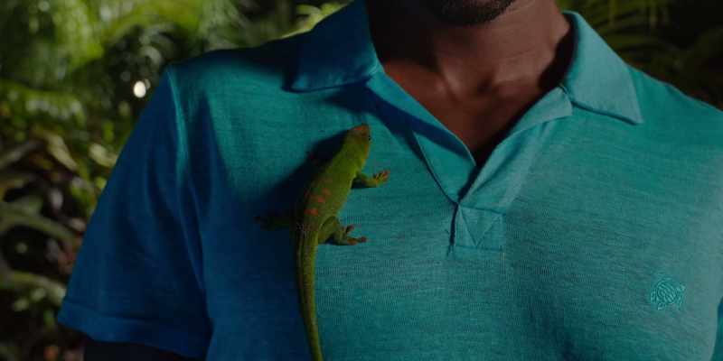 [gecko clicking] -[gasps]