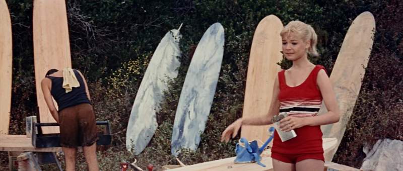 Gee all I wanted to do is surf That's all