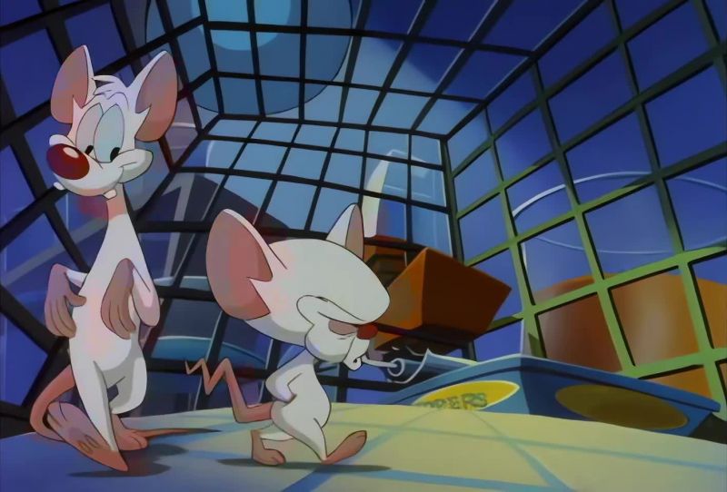 GEE, BRAIN. WHAT DO YOU WANT TO DO TONIGHT?