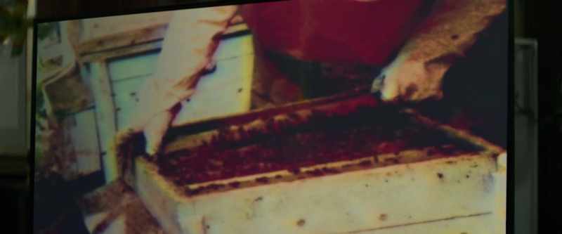 Generally, the queen bee is marked so she's easy to find