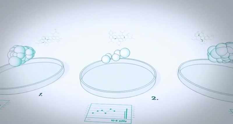 Genetically identical cells in three dishes