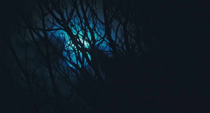 (Gentle, foreboding music) (Crickets chirping)