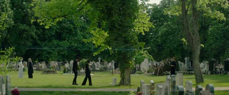 (gentle music)