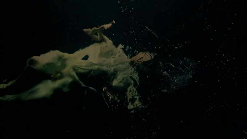 (gentle music) (water bubbling)