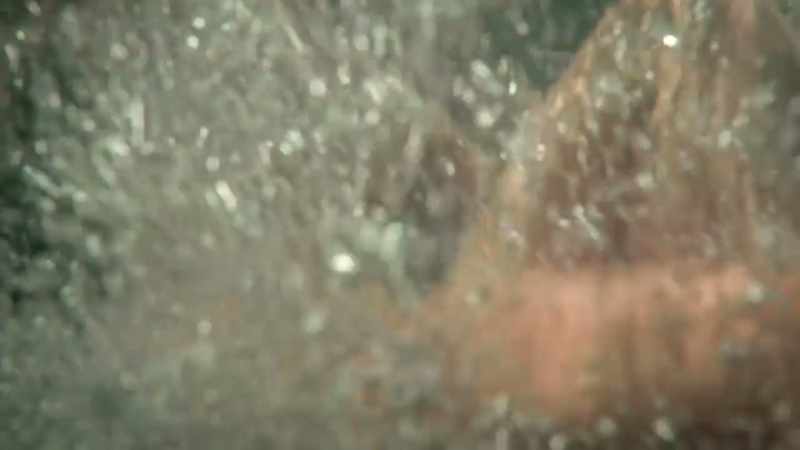(gentle music) (water gurgling)
