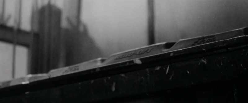 (gentle music)