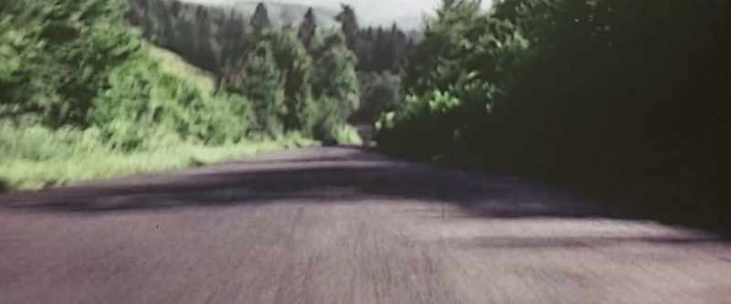 GEOFF: You can go off into the forest