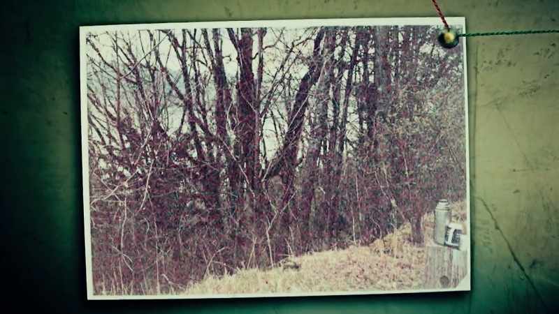 GEOFFREY WANSELL: One of the things