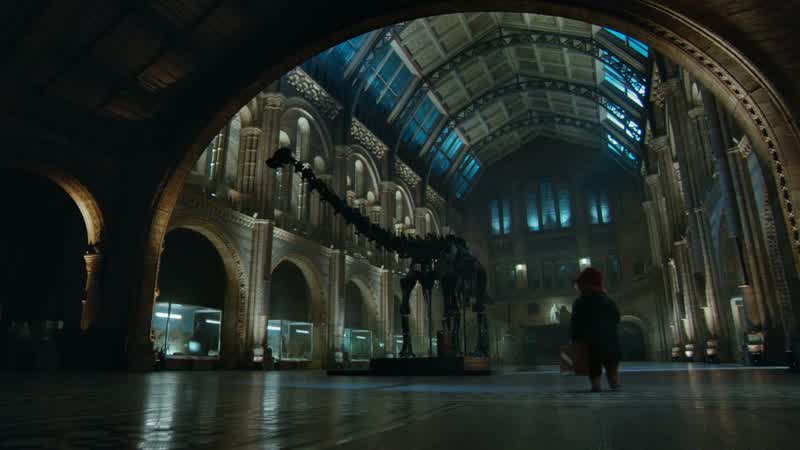 Woman Welcome to your new home bearThis is a cathedral of knowledgeEvery major explorer has added to its gloryCharles Darwin brought the giant tortoise from the GalapagosPaddington Good evening
