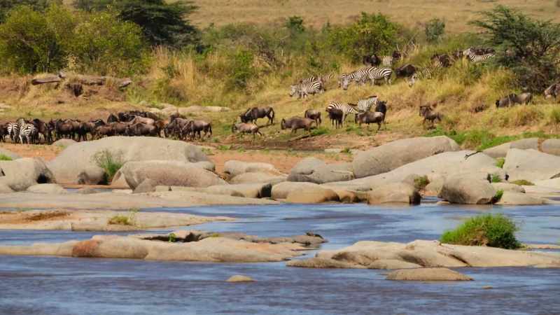 GEORGE: Are these guys about to cross?