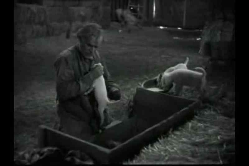 George is going to be pretty mad at him taking that pup out
