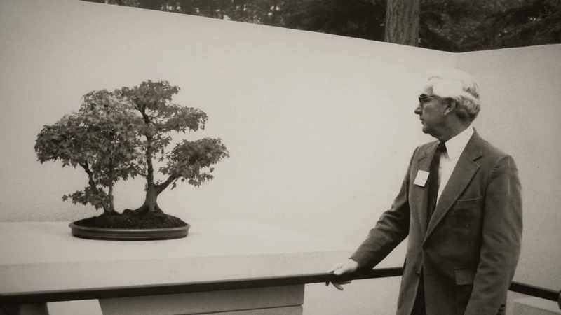 George: I think that the bonsai, in particular