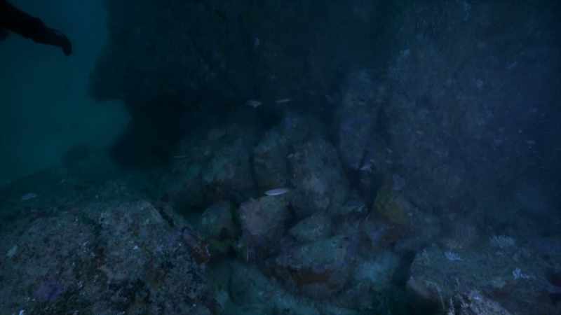 Georgeos thinks he's identified the missing link, a recently excavated
