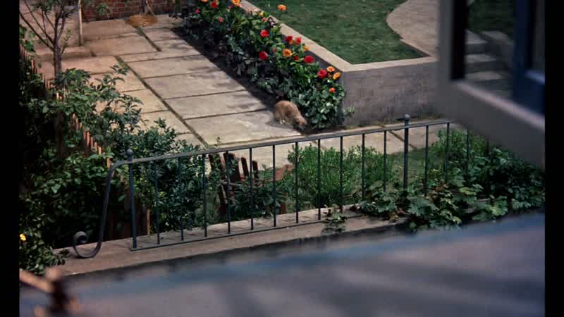 Get away from there, He'll be after you