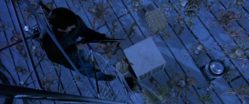 Get back you eight legged freaks