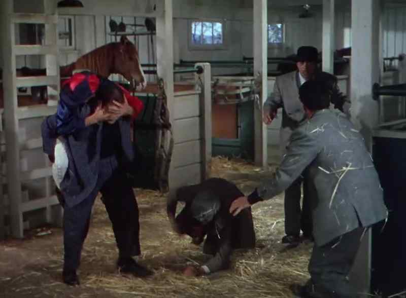 Get back now. Get back! Get him!