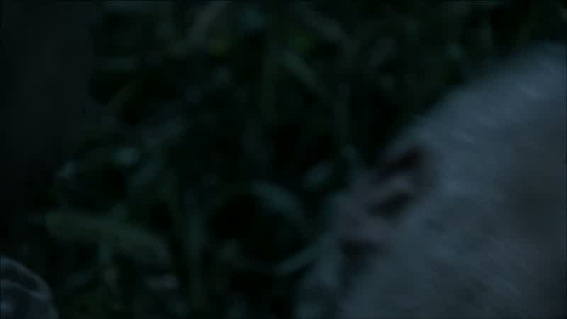 Get Carl