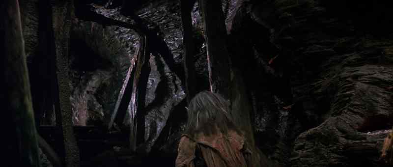 Get down, Fizzgig. Quiet
