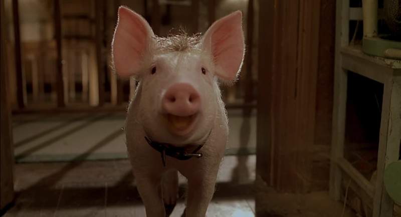 Get my drift I'm not a pork pie